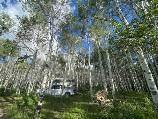 A camper is parked in a wooded area.